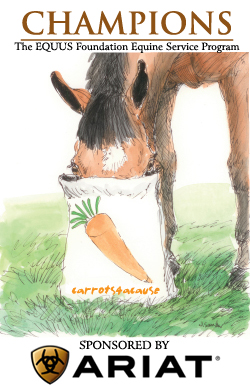 carrots4acause-champions-vertical-top