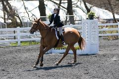 rebecca bender spotlight rider nov 2017 rebecca bender spotlight rider nov 2017