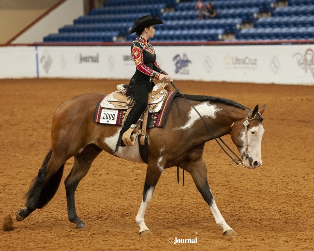 Photo by APHA/Paint Horse Journal