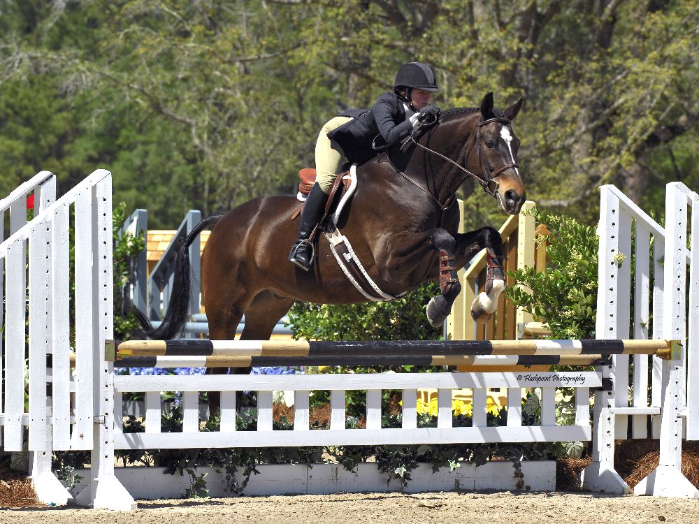 05ef105e-46a8-4829-53ca-7b5d5f987797