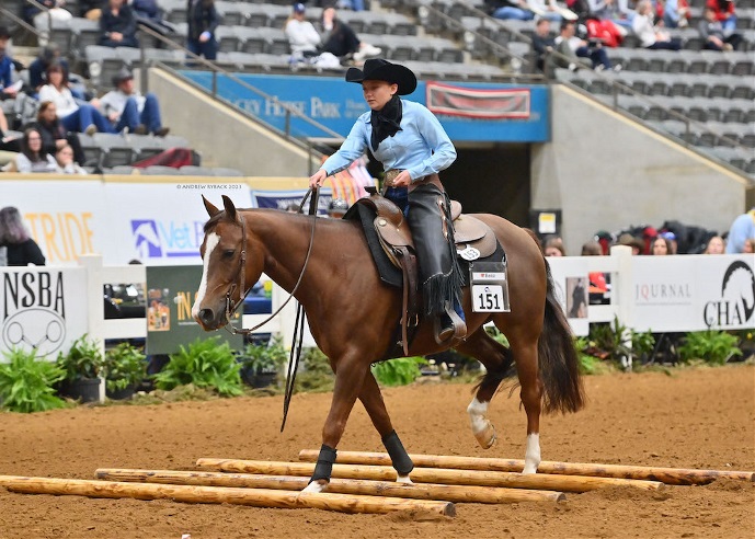 2023-IHSA National Champioship Horse Show-Jordan Schauer-Midway-University-Benz-University of Findlay-Andrew Ryback Photography