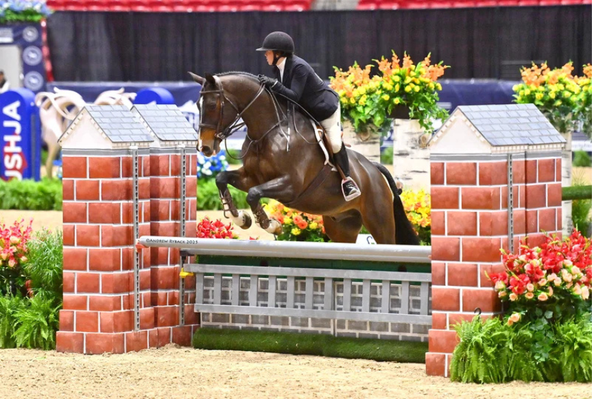 a0361133-ae4f-7d94-71c7-914fdc7d4604