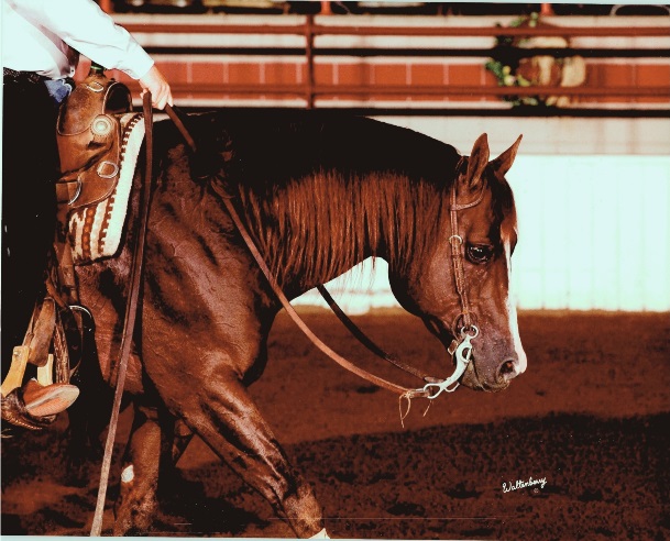 b9aff5d0-1d48-e95d-e043-a6dd4a65ed24