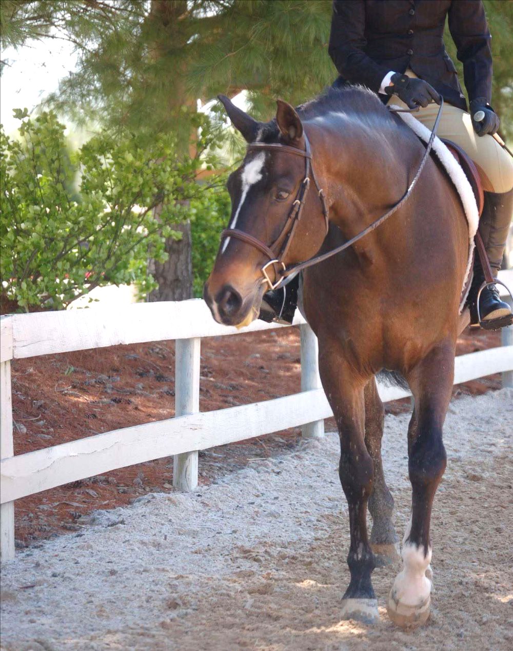 cae0b77e-4a75-8e15-e2f1-33fe2457963e