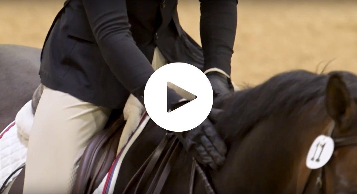 Dover Saddlery Open Equitation Over Fences-Alex Alston-SCAD-Video