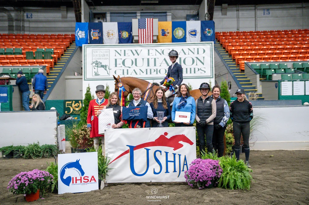 Fiona Fitzgerald presentation on chestnut horse