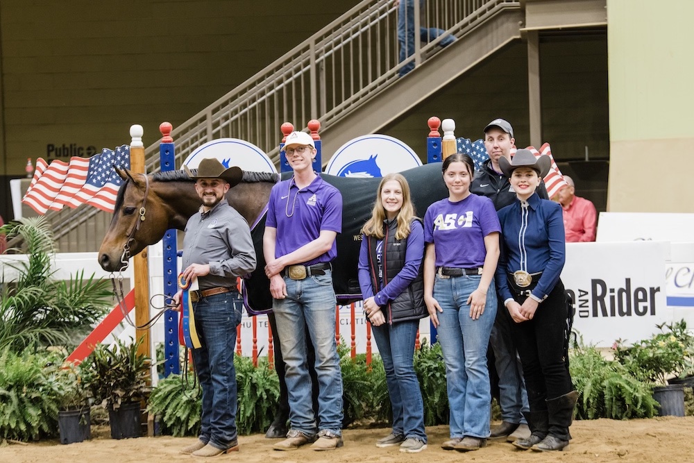 IHSA - Nationals 2023 - Wally - Albion College - High Point Horse - Credit EQ Media-1 copy