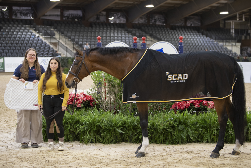 IHSA 2025 National Championship_Hunter Seat High-Point Horse_Quinn_SCAD IHSA 2025 National Championship_Hunter Seat High-Point Horse_Quinn_SCAD