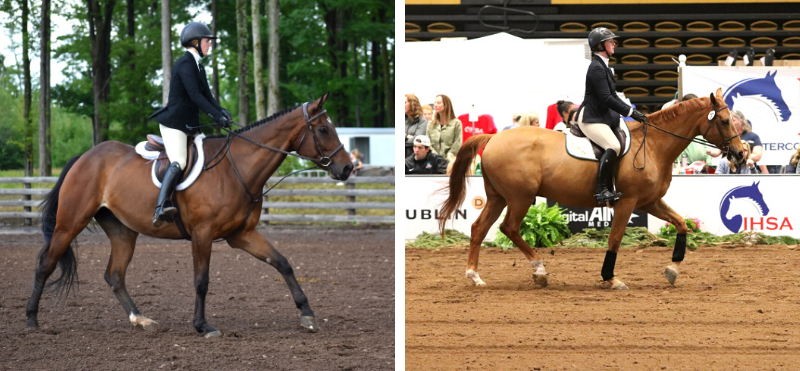 IHSA-inaugural-online-horse-show-sara-eveleigh-chloe-kershl IHSA-inaugural-online-horse-show-sara-eveleigh-chloe-kershl