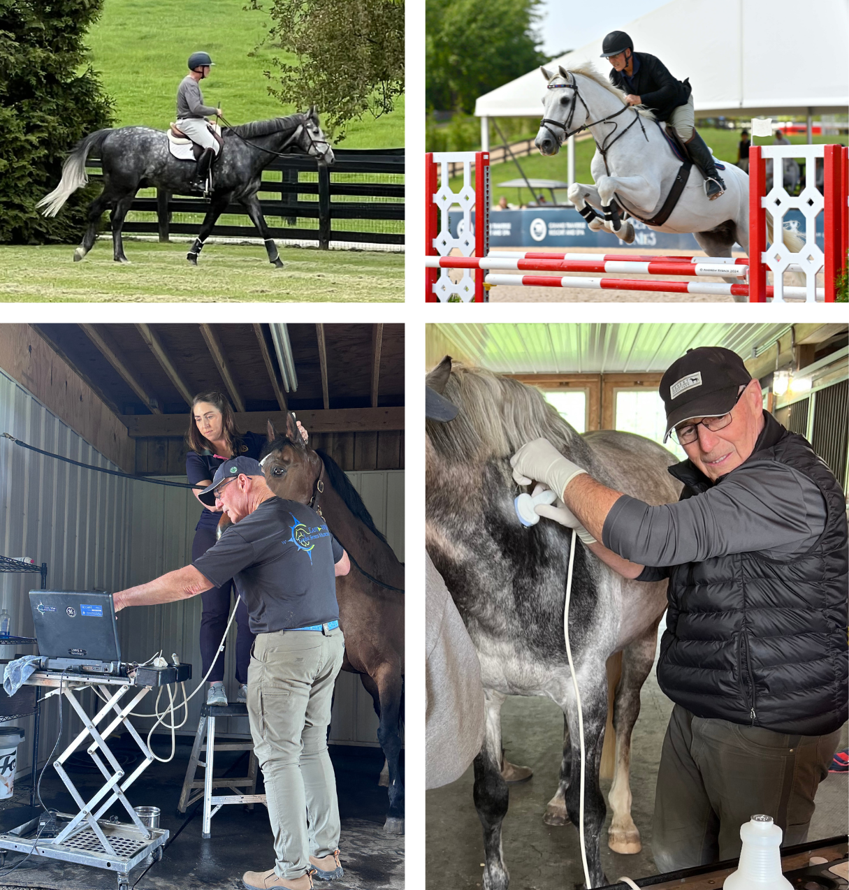 Duncan Peters Collage