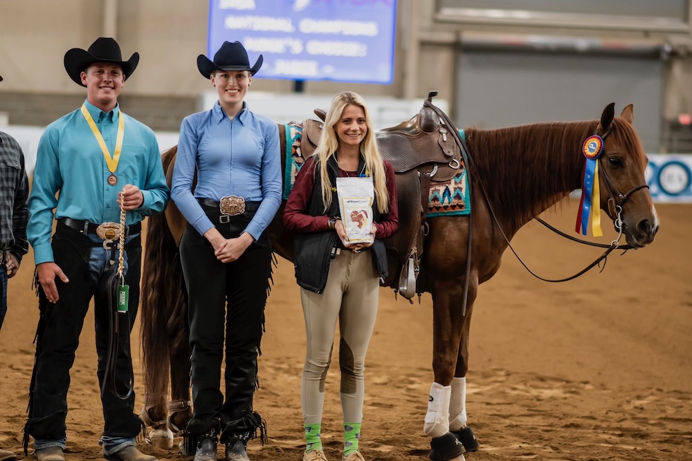 Juice - Western Most Popular Horse - Credit Maddy Falkowitz