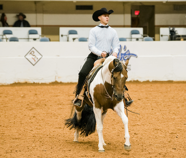 Matthew Graves in Horsemanship Test on He Thinks He&#39;s Special Eddy-2