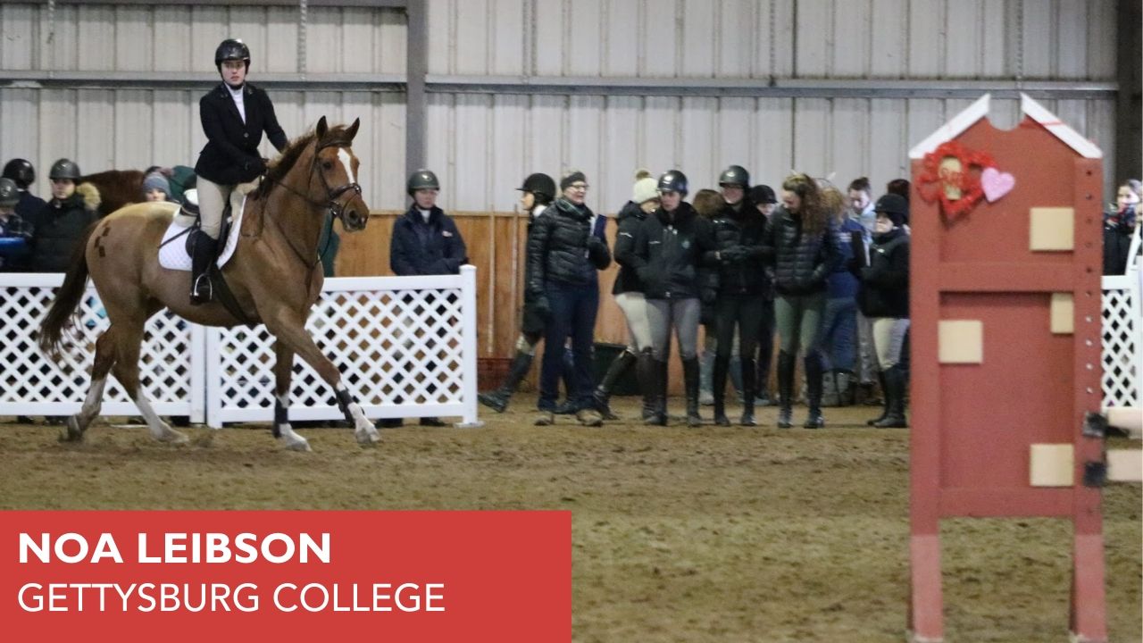 Noa Leibson Gettysburg College