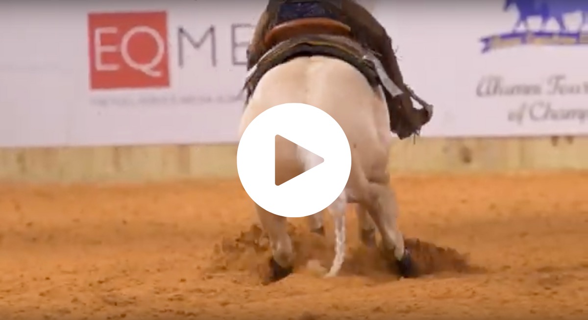 Ranch Riding &amp; Team Reining-Video-IHSA National Championship