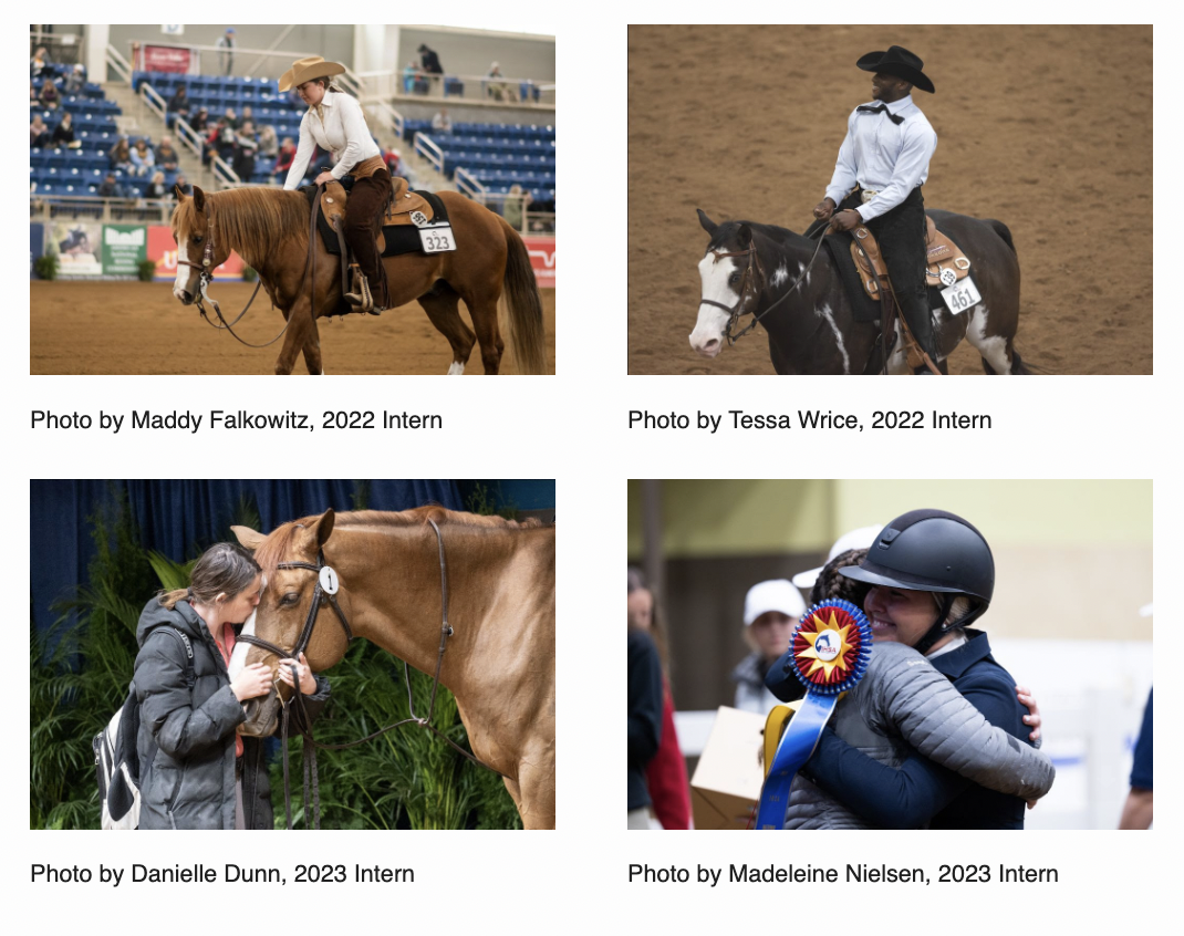 Previous IHSA Photography Interns