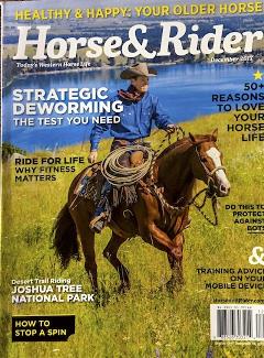 Horse and Rider cover web copy